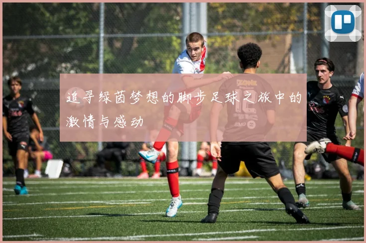 追寻绿茵梦想的脚步足球之旅中的激情与感动