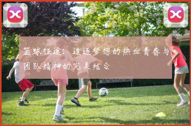 篮球征途：追逐梦想的热血青春与团队精神的完美结合