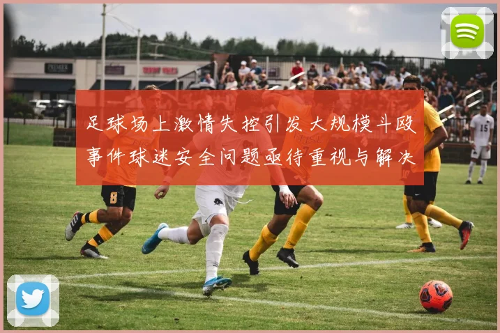 足球场上激情失控引发大规模斗殴事件球迷安全问题亟待重视与解决