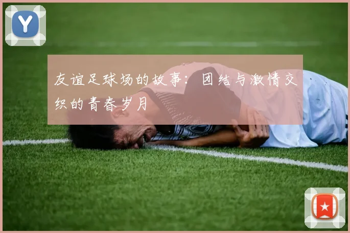 友谊足球场的故事：团结与激情交织的青春岁月