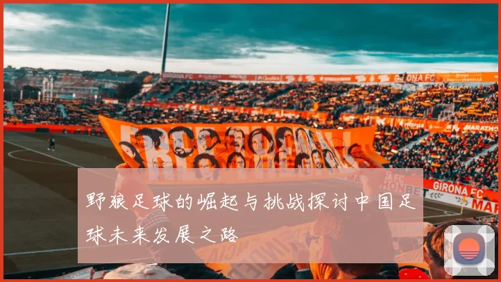 野狼足球的崛起与挑战探讨中国足球未来发展之路